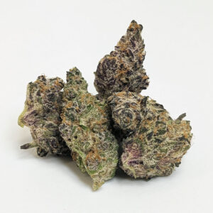 Oreoz Mai Tai Thca Hemp Flower.