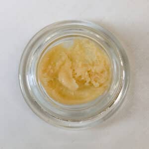 Doc's THC-a Lemon hash plant.